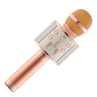 Wsier WS-858 Wireless Microphone HiFi Speaker Best Offer Price in Sharjah 
