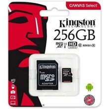 kingston 256 GB Memory Card 